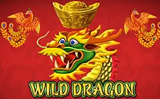 Wild Dragon